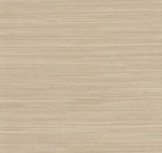 A Street Prints - Drew and Jonathan home (4th edition) - Reynier Hemp