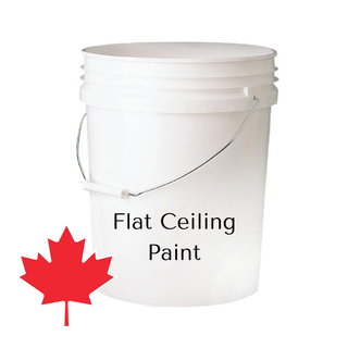 Latex Ceiling Flat White